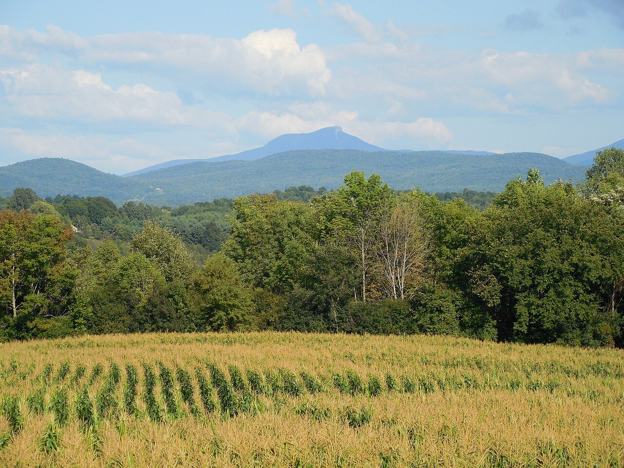 Camel's Hump over a cornfield and a line of trees near Charlotte.