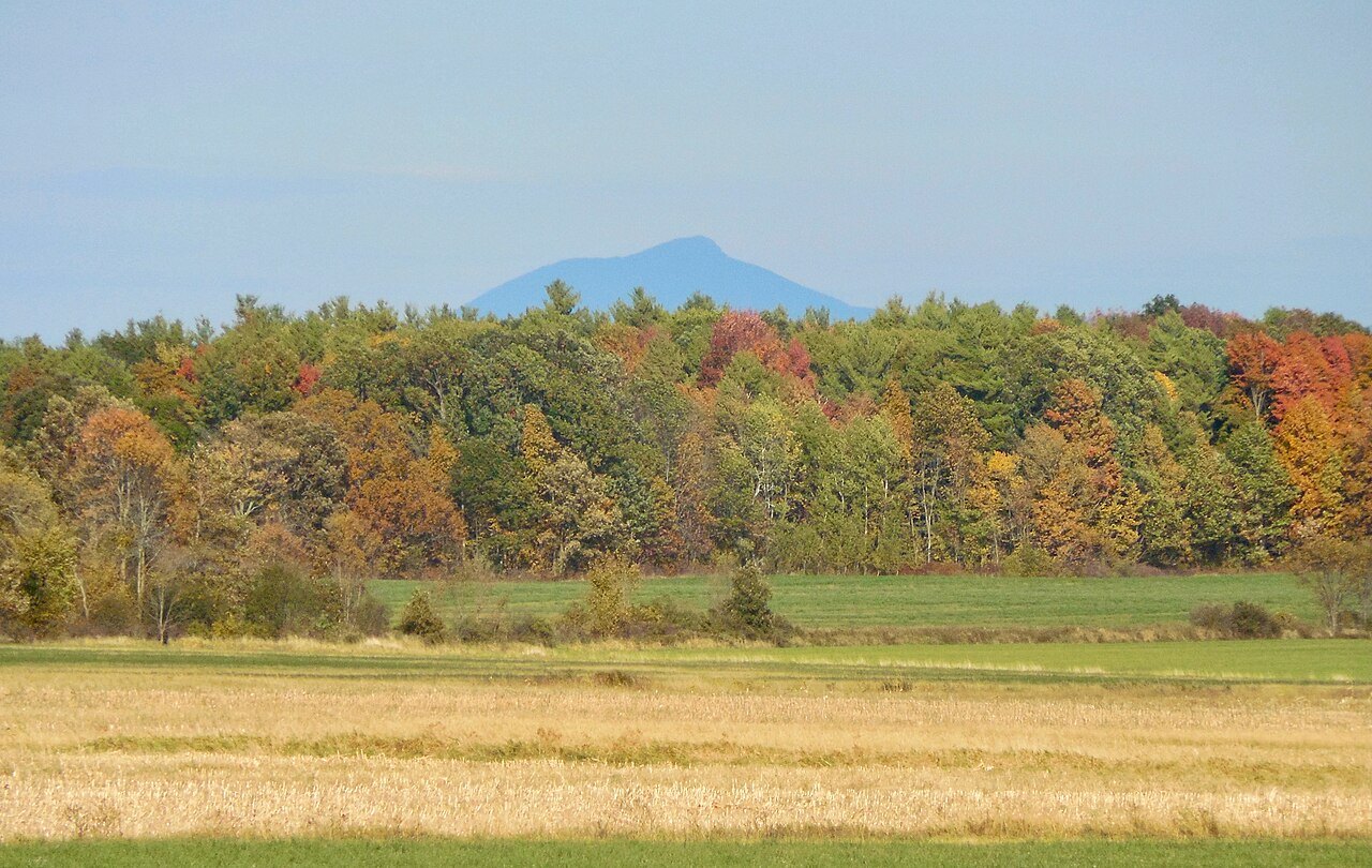Camel's Hump from Addison, a distant blue peak over fall color and a hay field.