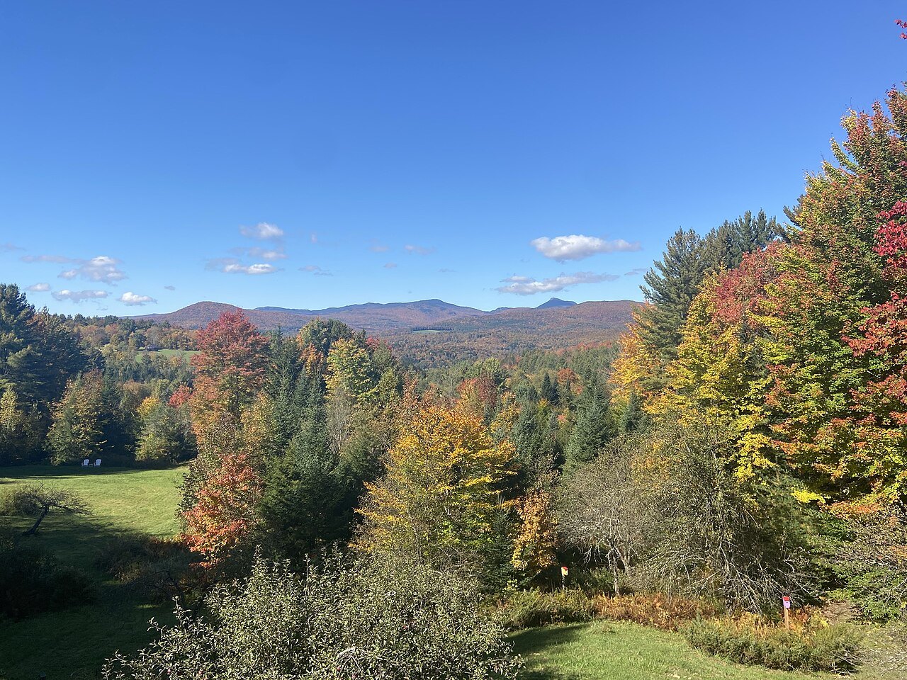 Autumn foliage at the edge of a meadow, with Camel's Hump on the horizon.
