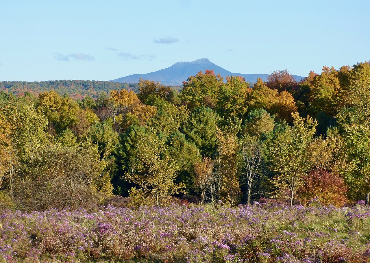 Camel's Hump above autumn forest, seen from the south, with purple heath in the foreground.
