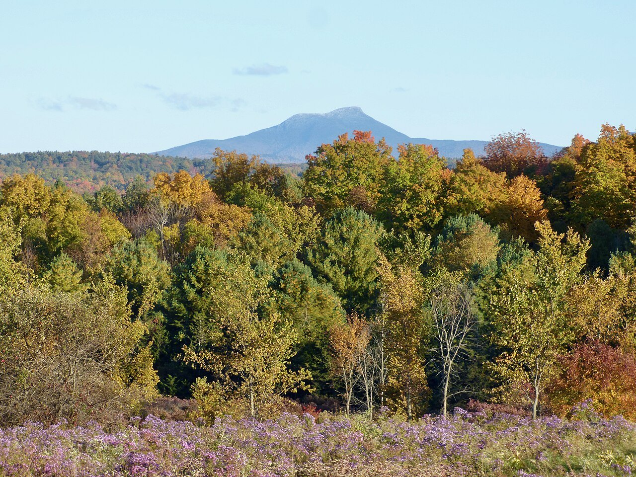Camel's Hump in the distance above autumn forest and a purple-pink meadow.