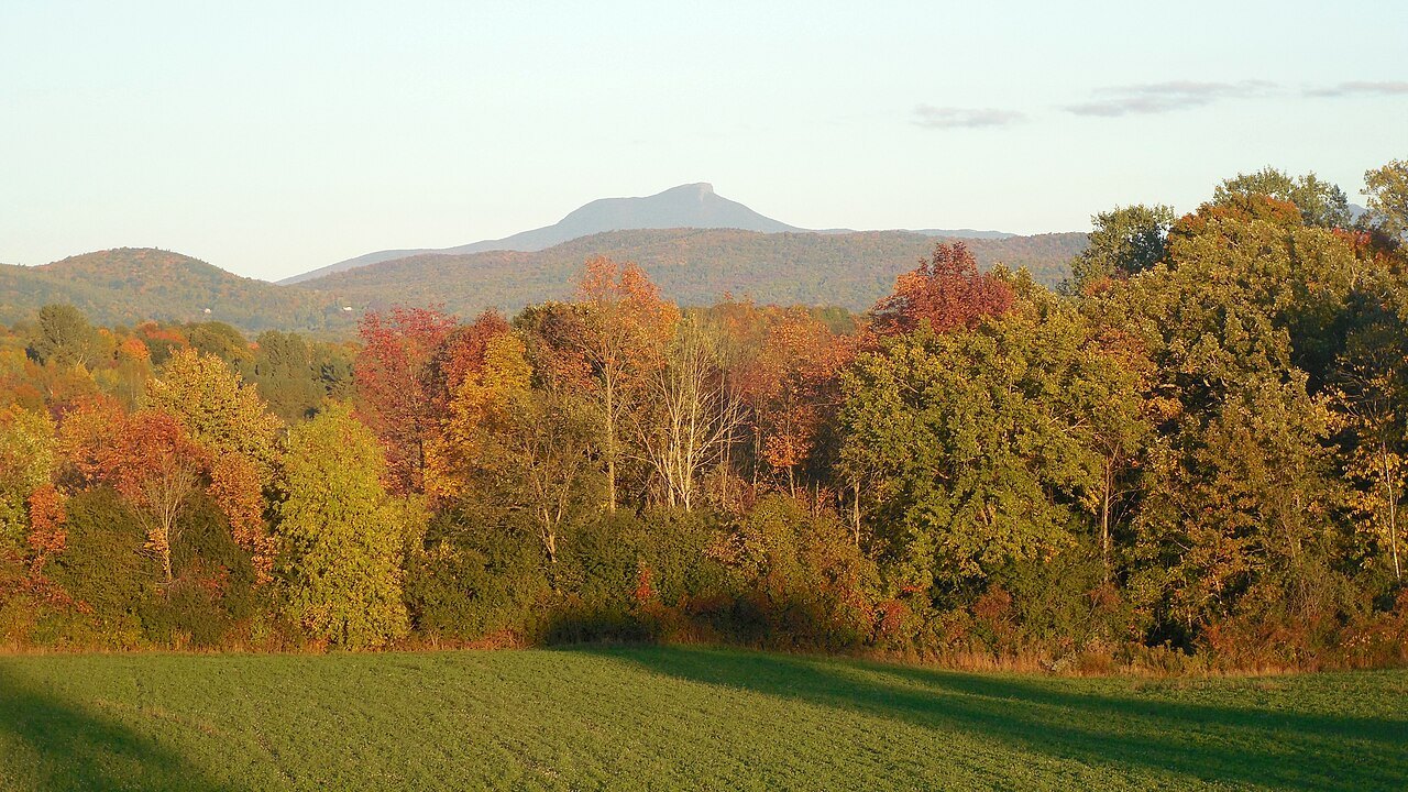 Camel's Hump on the horizon above a hillside of autumn trees and a mown field.
