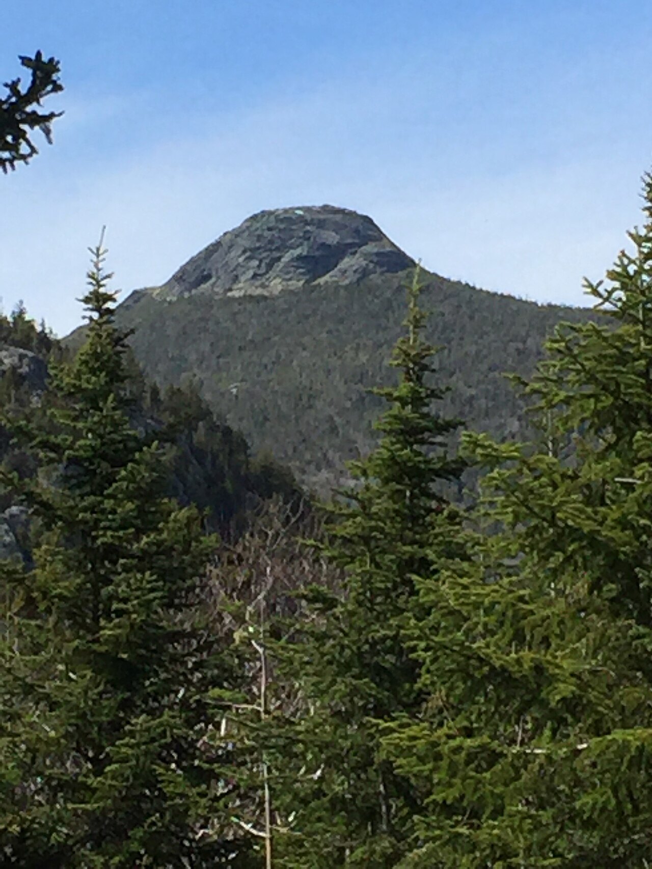 Camel's Hump rising above dark spruce.