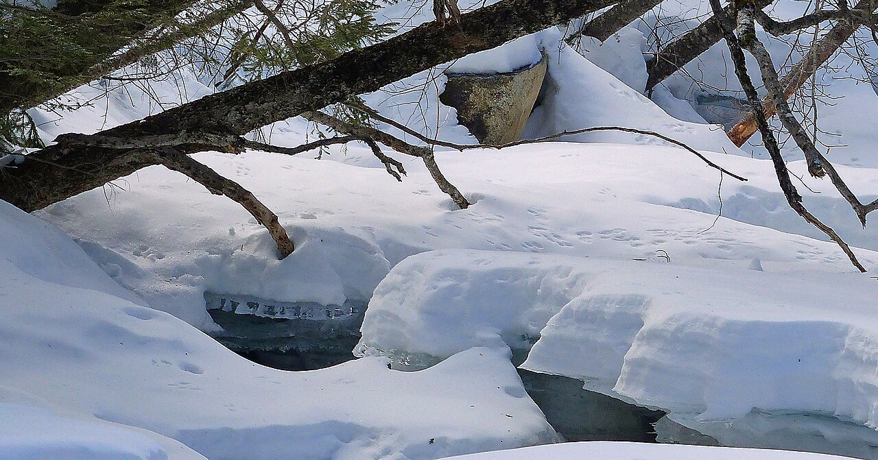 Snow drifts over an open stream, with branches above.