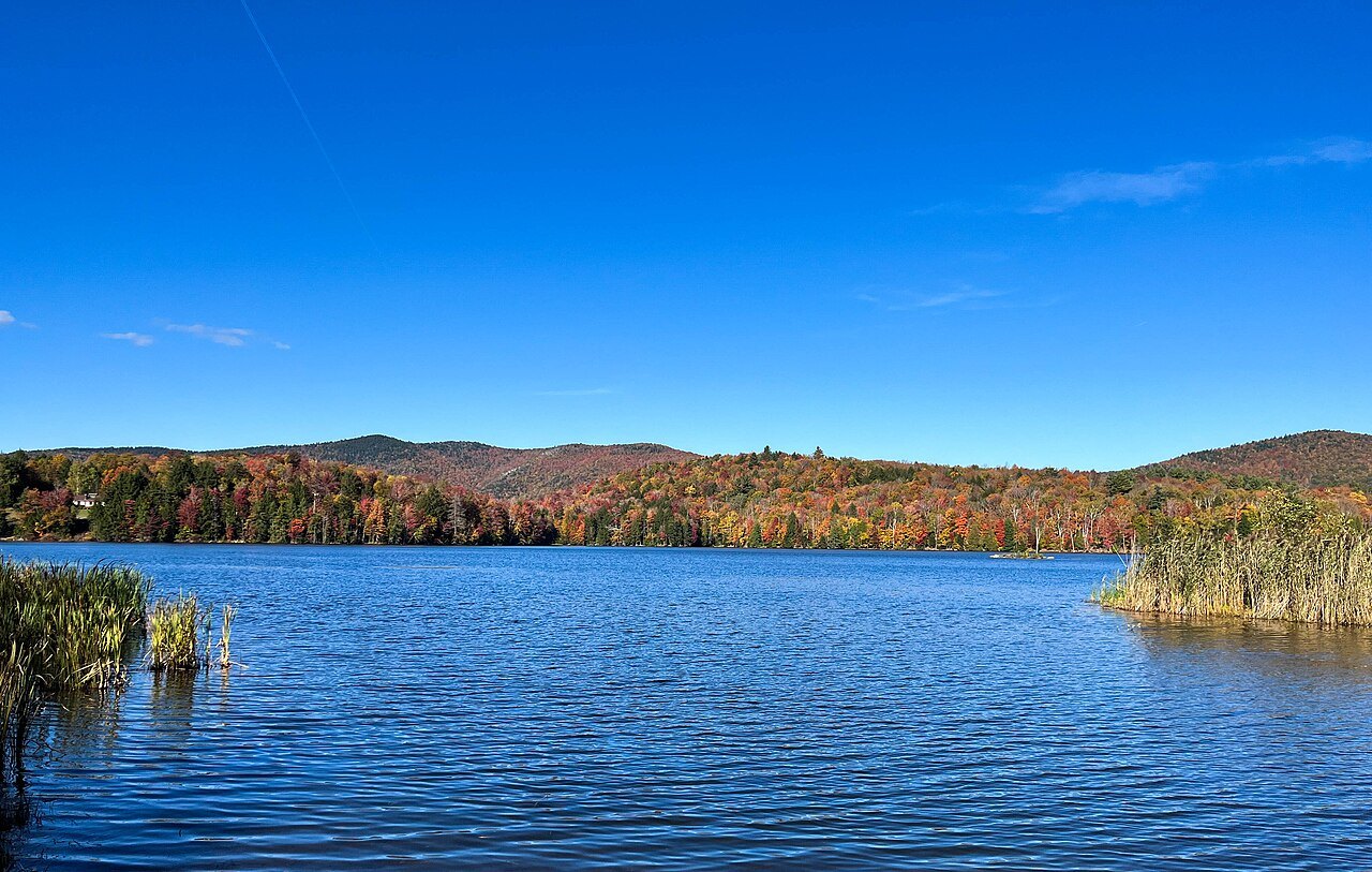 A blue pond fringed with reeds and autumn forest in the Green Mountains.