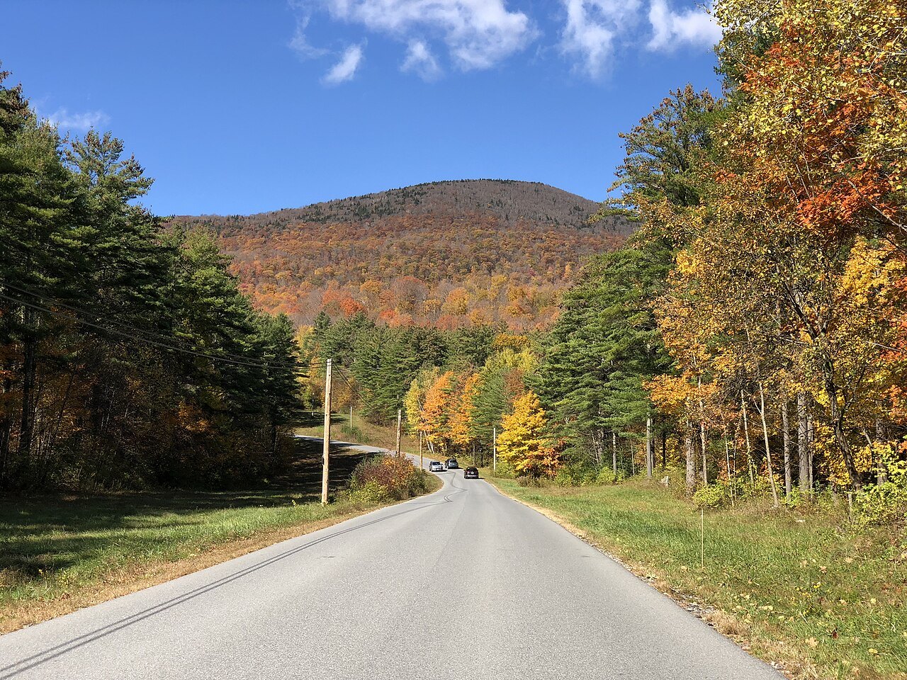 A road curving through autumn forest toward a rounded mountain.