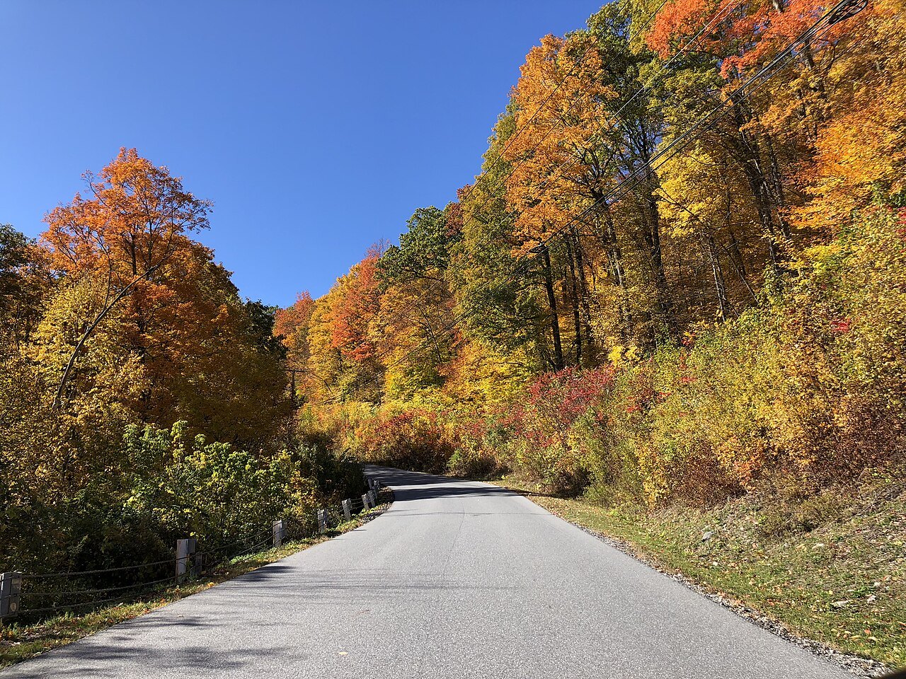 A road bending through orange and gold maples on a mountain drive.