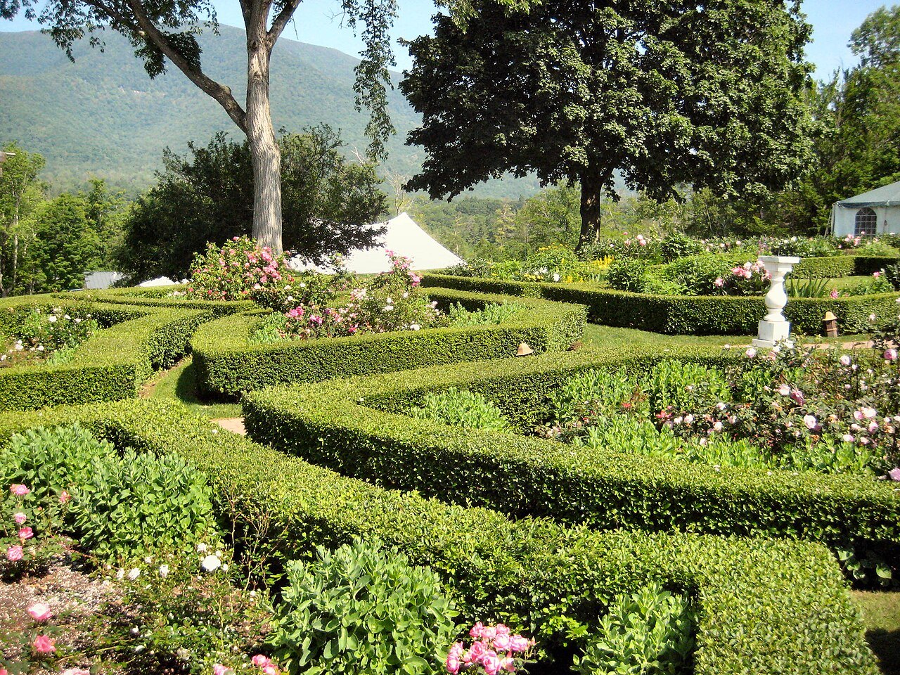 Clipped boxwood in the garden, with roses and a mountain behind.