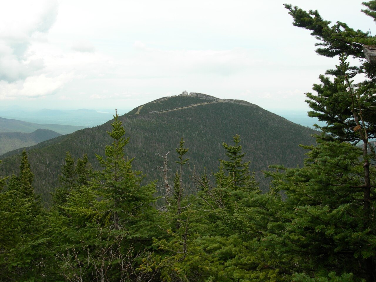 Big Jay seen from Jay Peak, a green cone above spruce.