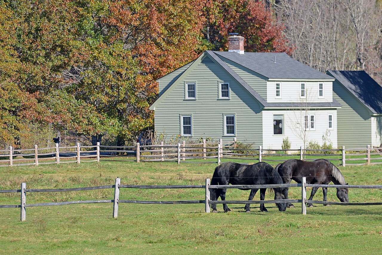Two black horses grazing before a pale green farmhouse at the Billings Farm and Museum.