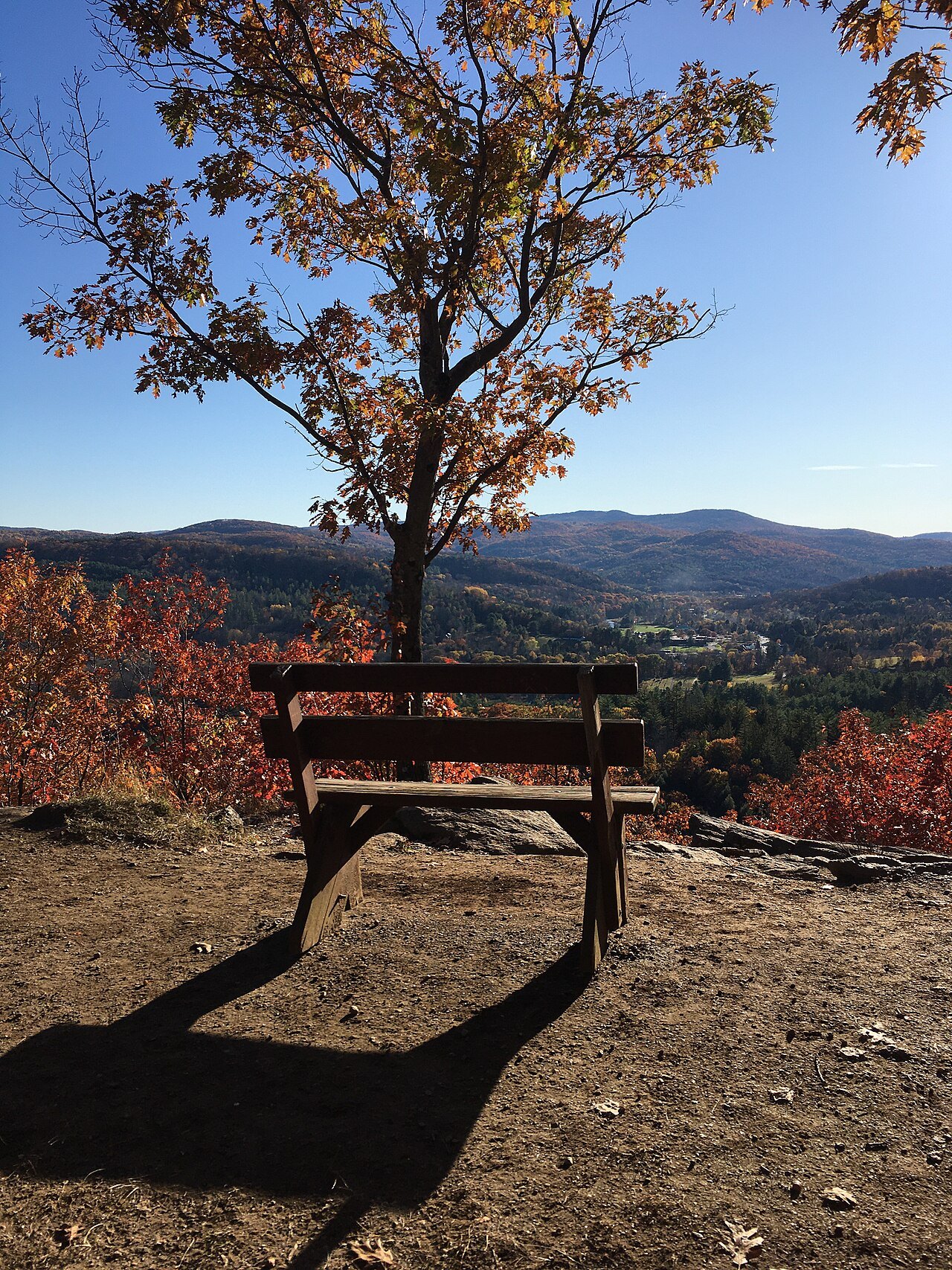 A wooden bench on a hillside overlook above autumn forest and distant hills.
