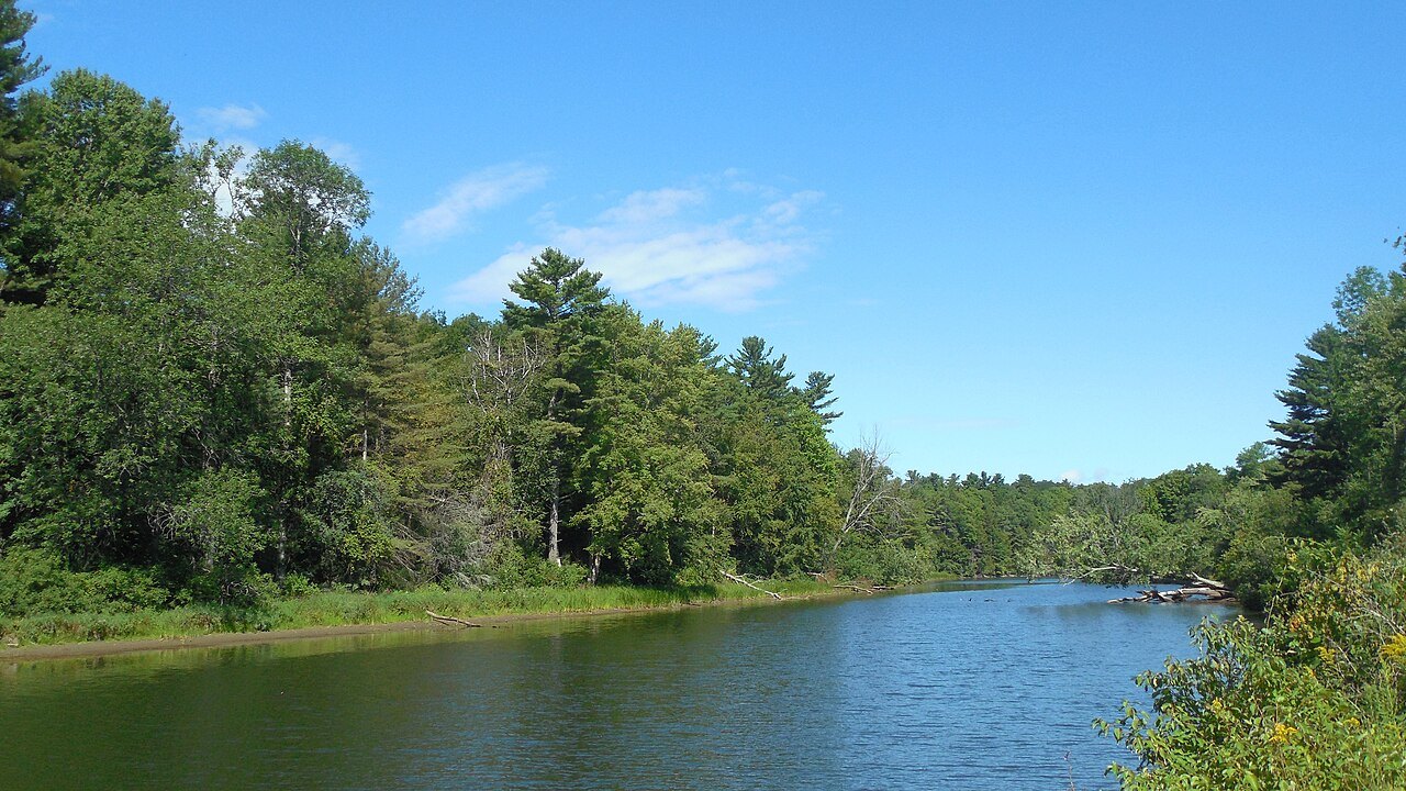 Otter Creek in summer, a calm stretch between green banks.