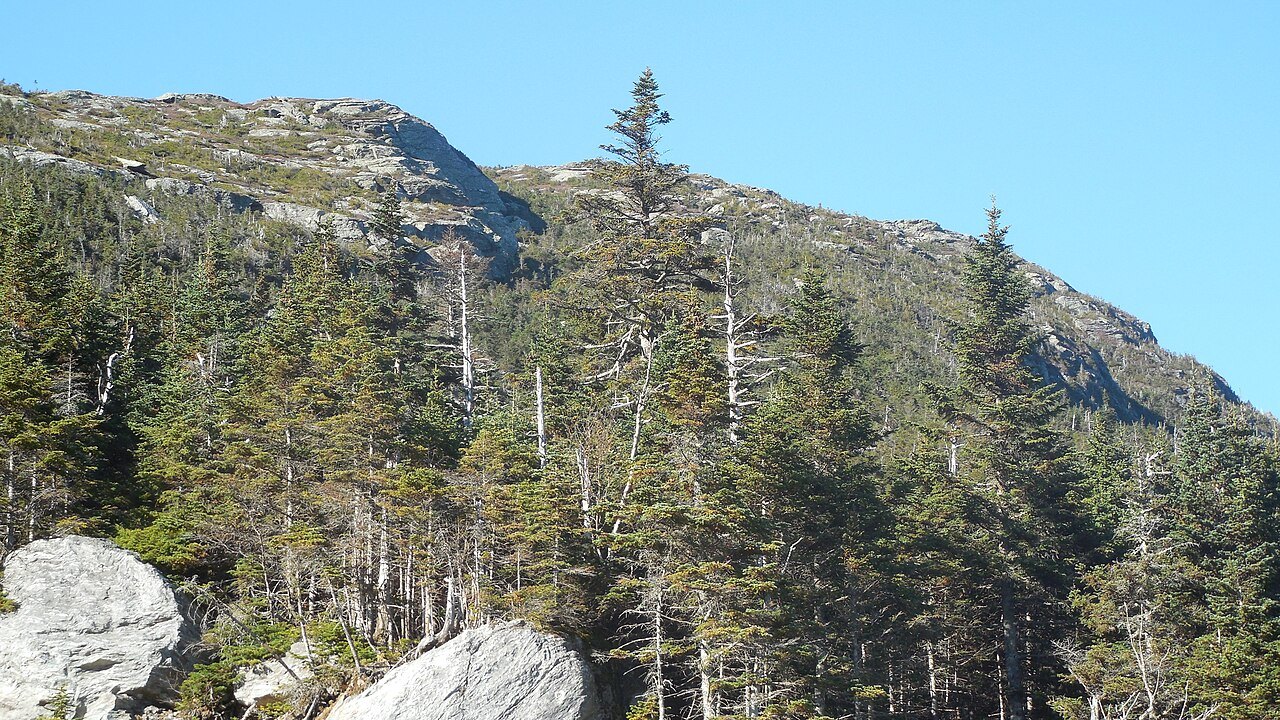 Rock and spruce on the Long Trail on the slope of Mount Mansfield, with the ridge above.