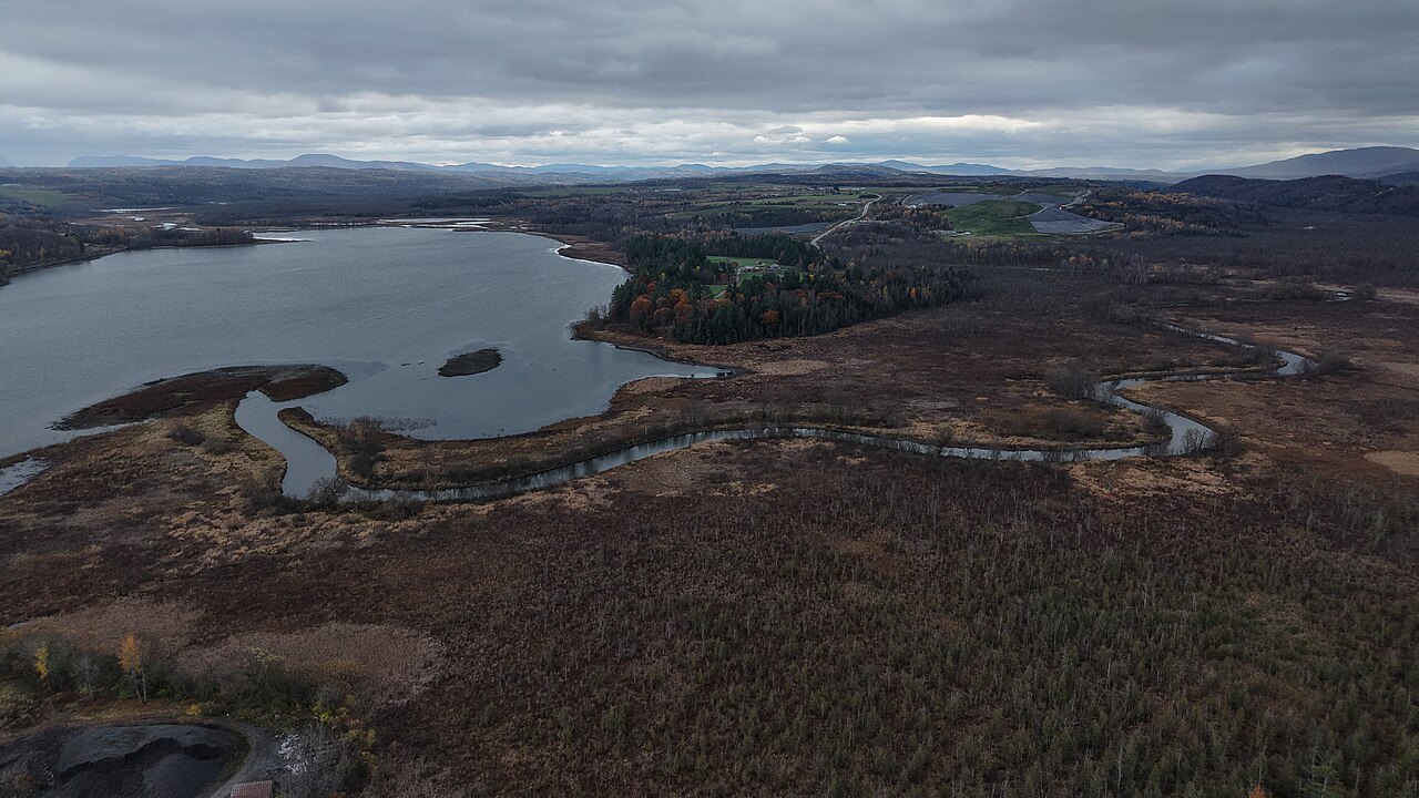 A marshy river valley near Newport from above, brown reeds around a winding channel.