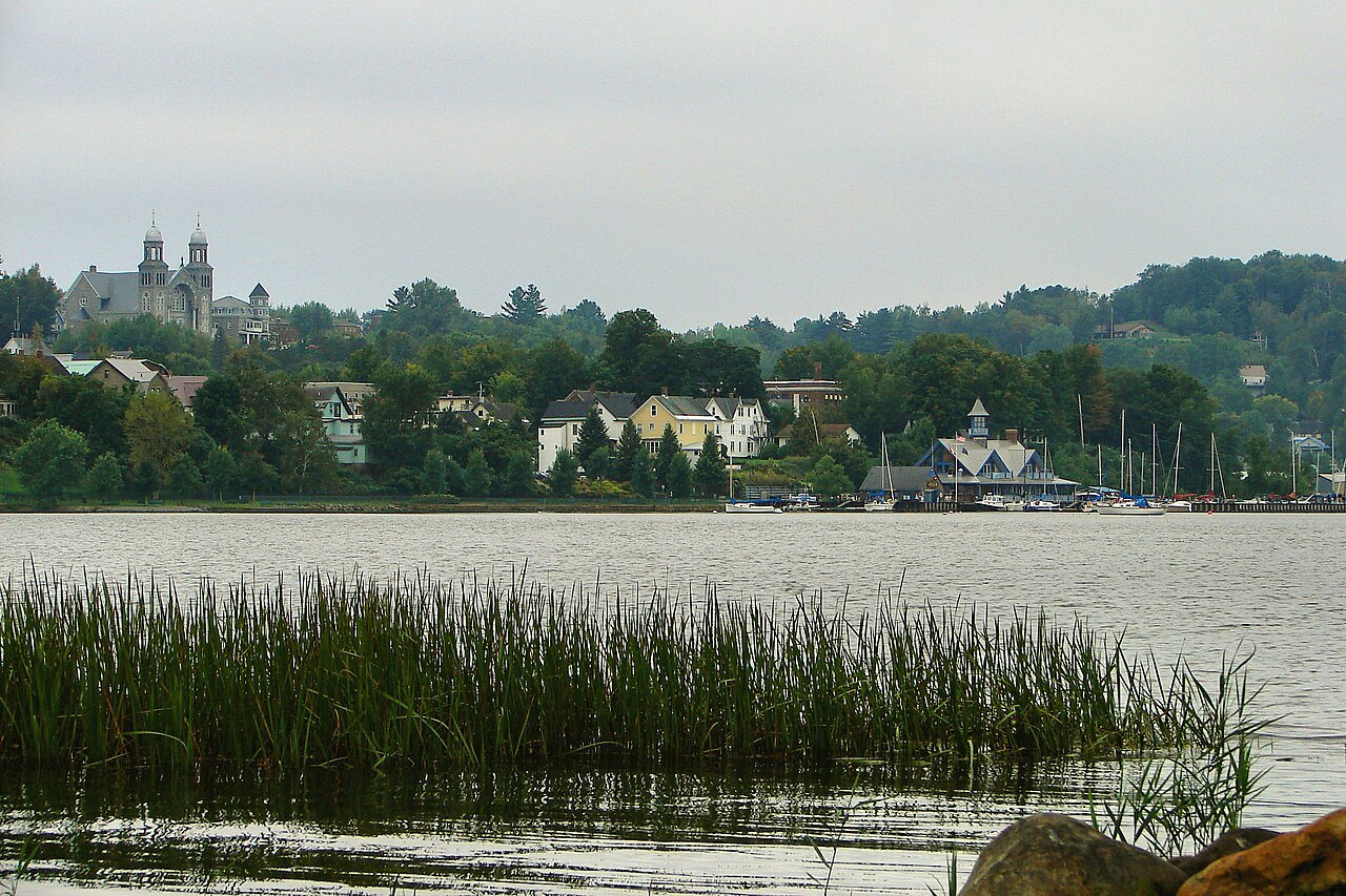 The lakeshore at Newport, reeds in the foreground and a church tower on the far bank.