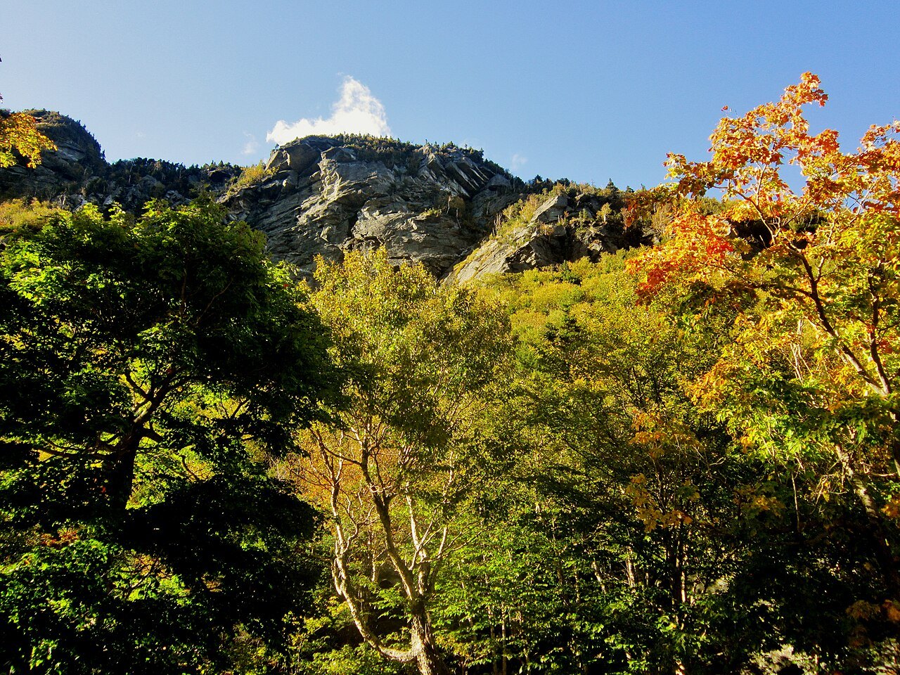 Yellow and orange foliage below the rock walls of Smugglers' Notch.