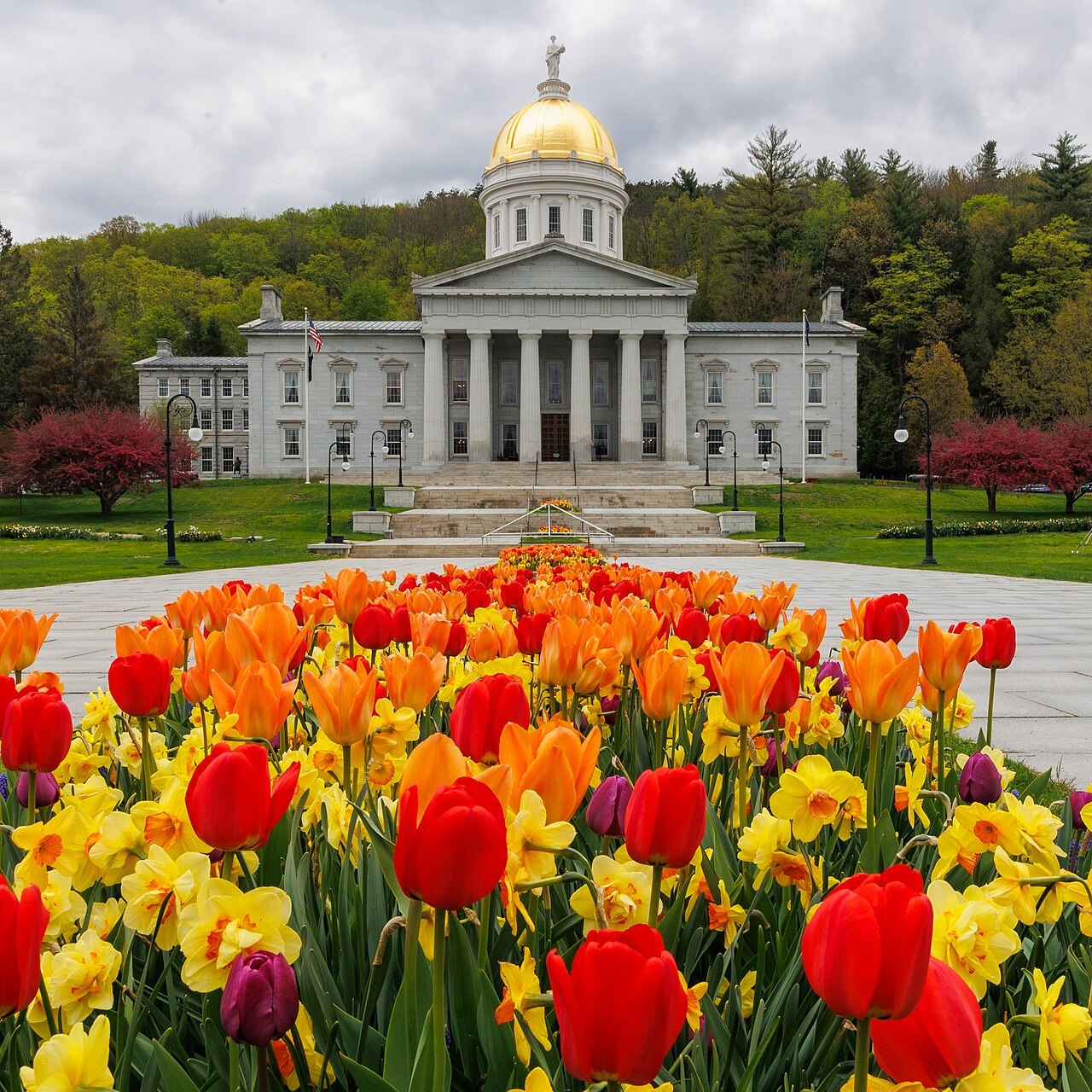 Tulips in front of the State House in May.