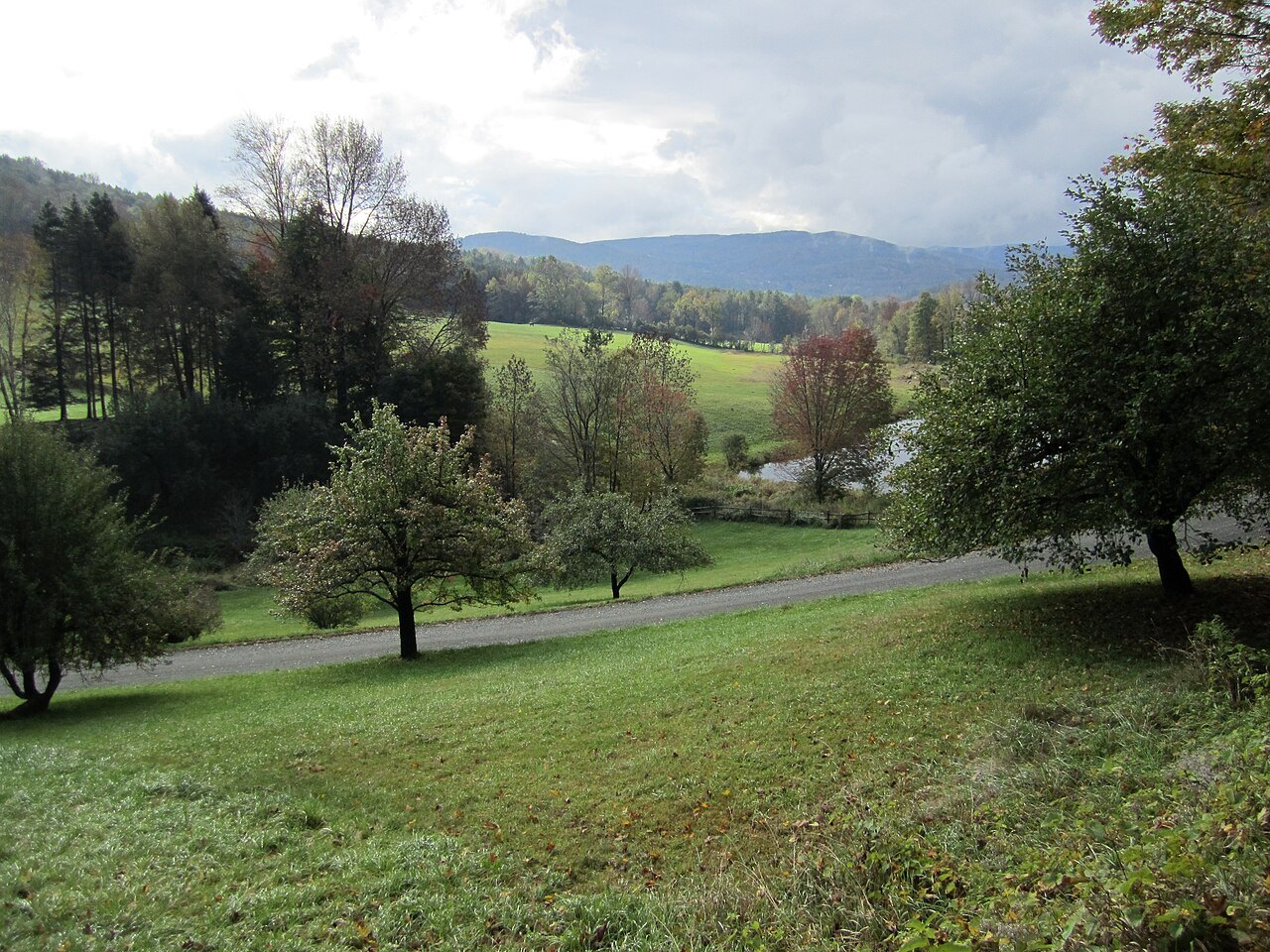 A green valley road near Woodstock, with a field, scattered trees and far blue hills.